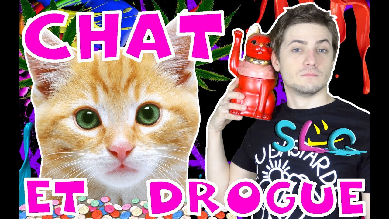 Chat et Drogue - SLG N&deg;60 - MATHIEU SOMMET