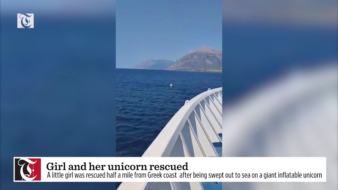 Girl and her unicorn rescued
