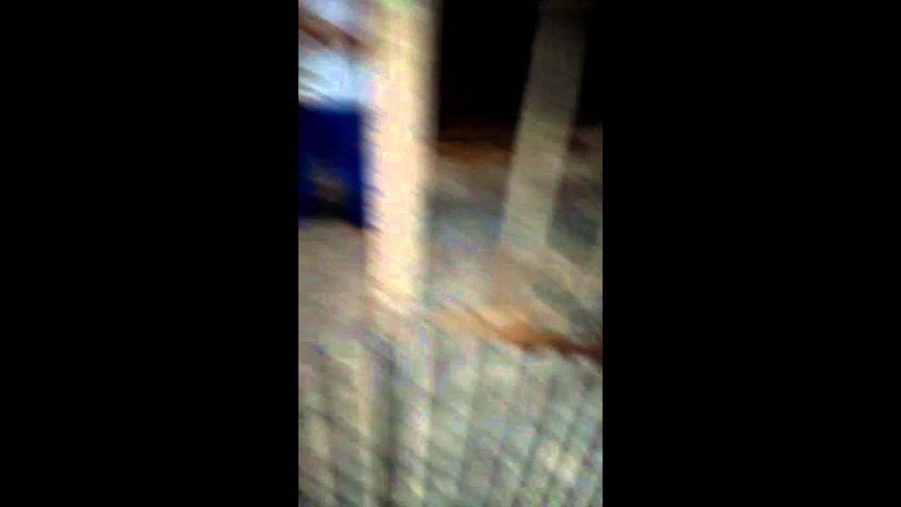 Relasao