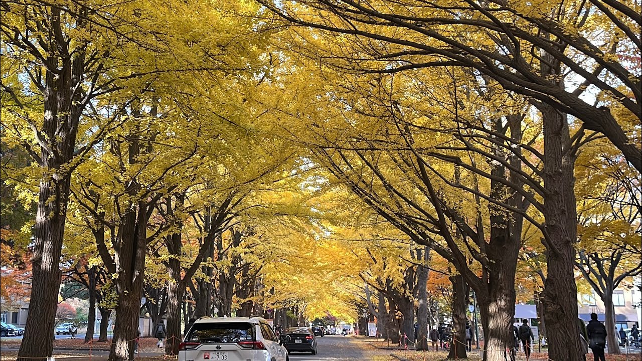 2025-11-04/05  札幌-北海道大學