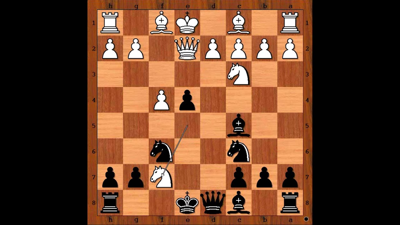 The King Hunt: Ettlinger vs Janowski - New York 1898