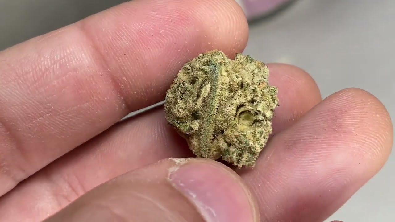 Twenty-Twenty Deep Fried Runtz Review- Nature&rsquo;s Grace & Wellness&rsquo; &lsquo;Craft&rsquo; Brand