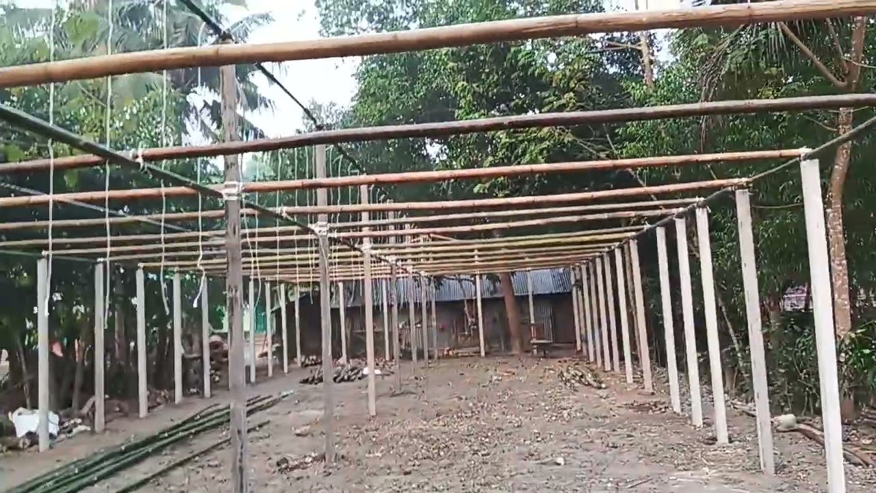 নতুন পোল্ট্রি ফার্ম কিভাবে করা যায়, আপনাদের সাথে শেয়ার করলাম,