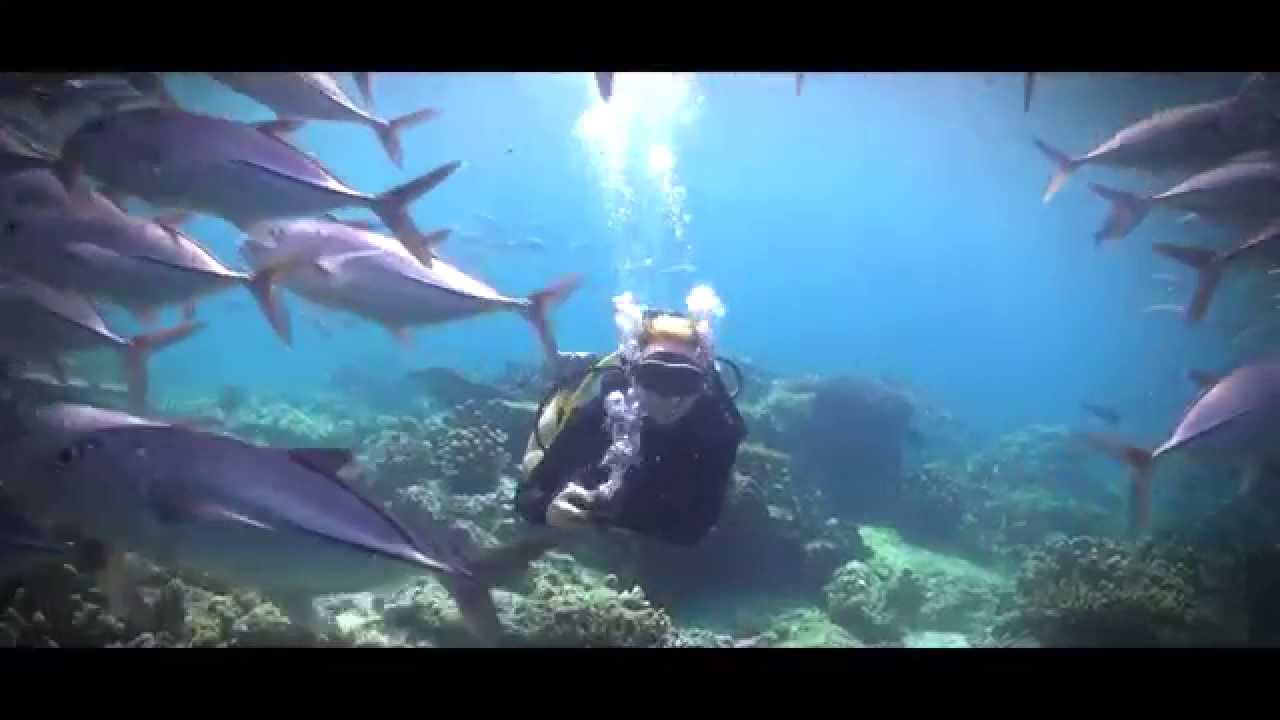 PADI Advanced Open Water Diver Course