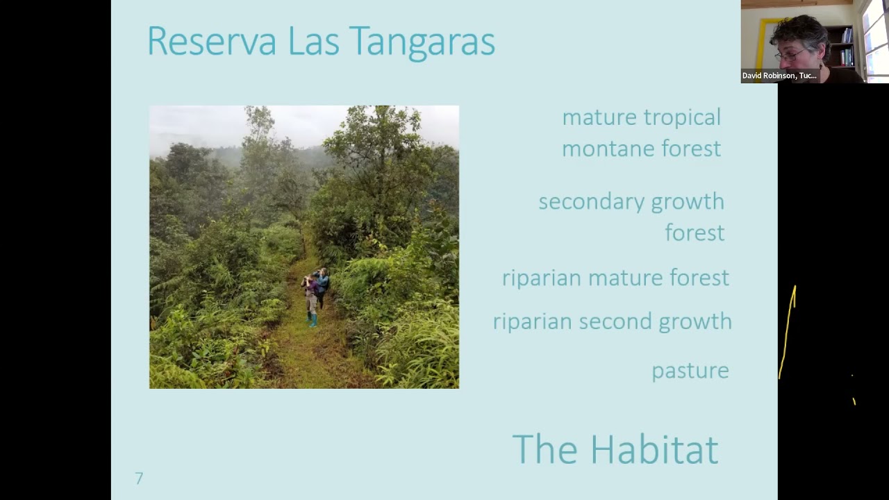 Virtual Presentation: Trogons, Tanagers, Mist Nets, & Mud
