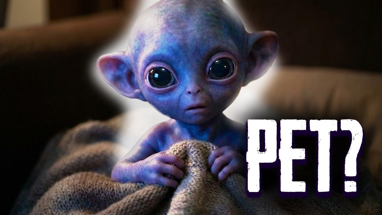I Got a Pet Alien… And It Started Growing