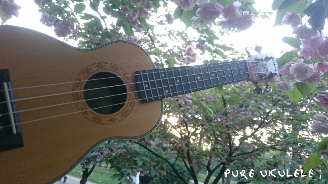 PURE UKULELE ;