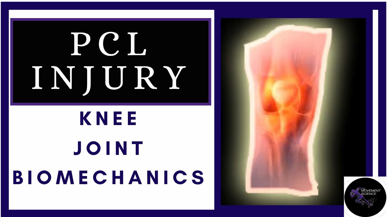 PCL (LIGAMENT OF KNEE JOINT) KNEE JOINT BIOMECHANICS (PHYSIOTHERAPY TUTORIALS)