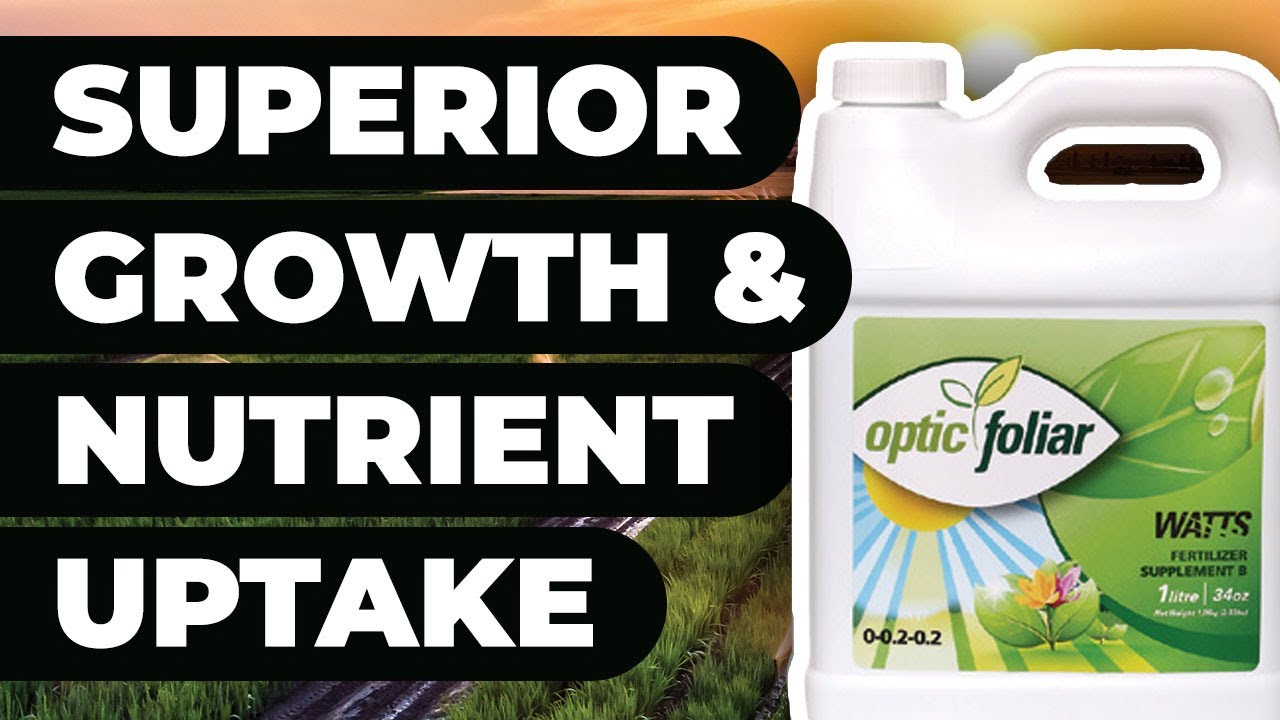 Elevate Uptake, Increase Growth: Improve your Foliar Delivery with Optic Foliar Transport
