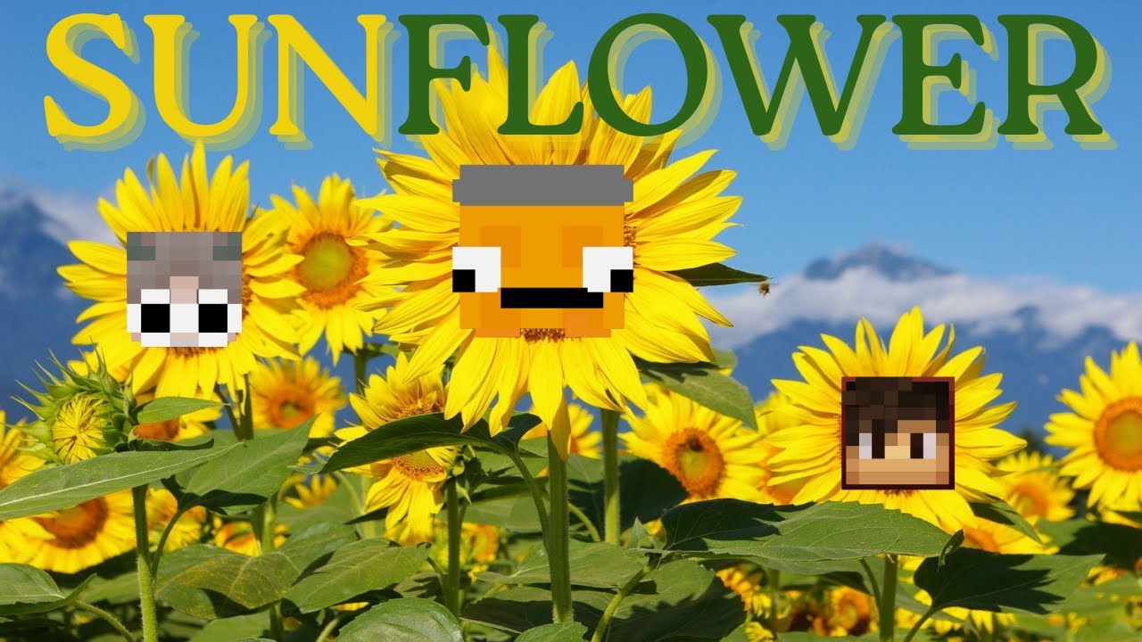 Sunflower | Loka Montage
