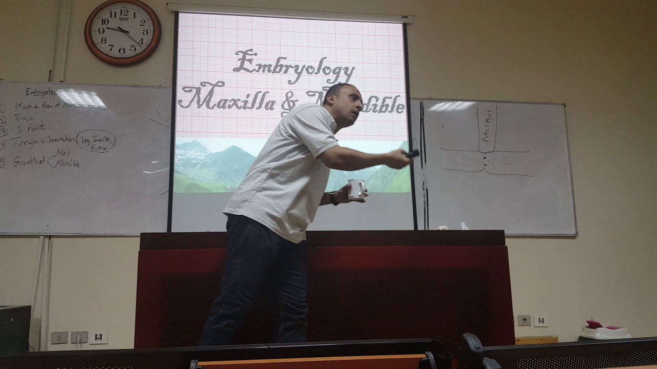 Oral Biology: Embryology Revision 2018 Part 2