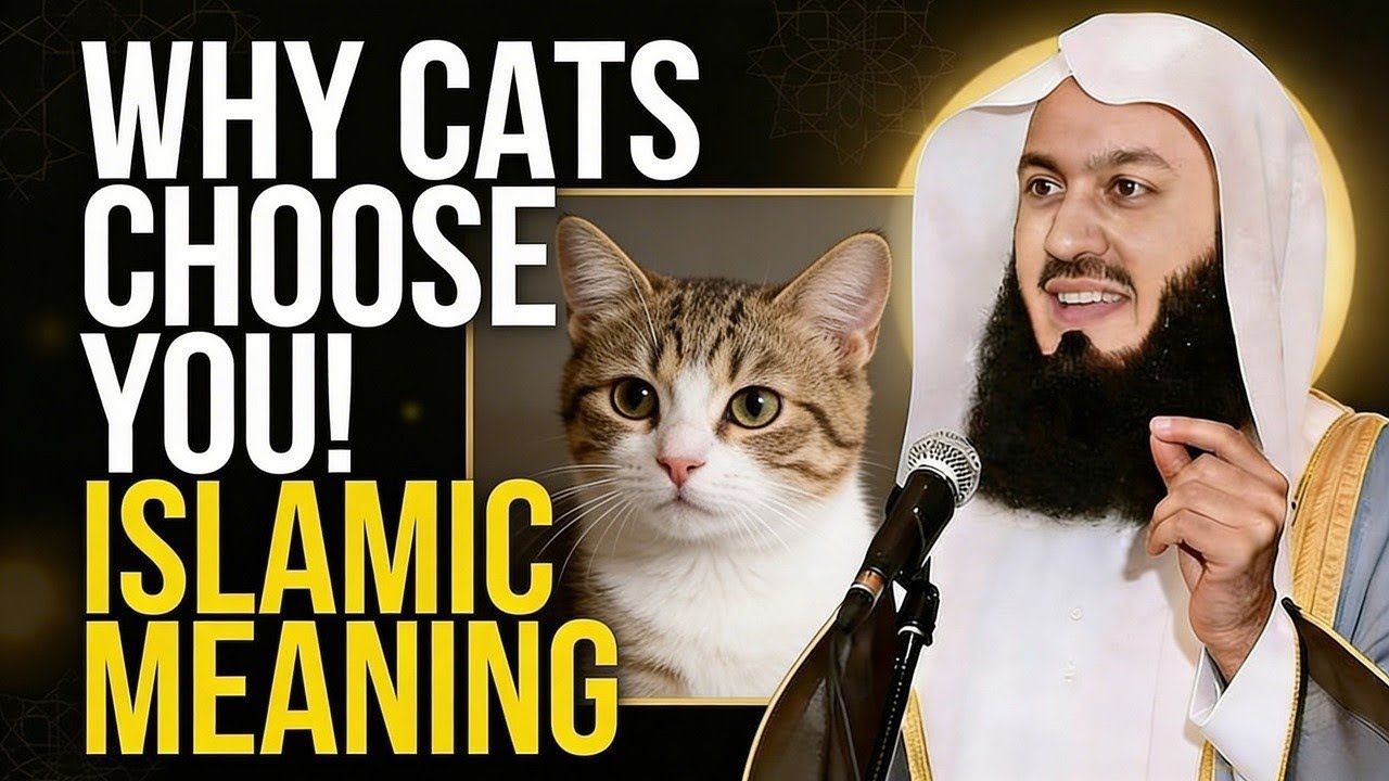 Why Cats Choose Certain People | The IslamicInsight You've Never Heard | Mufti MenkReminder