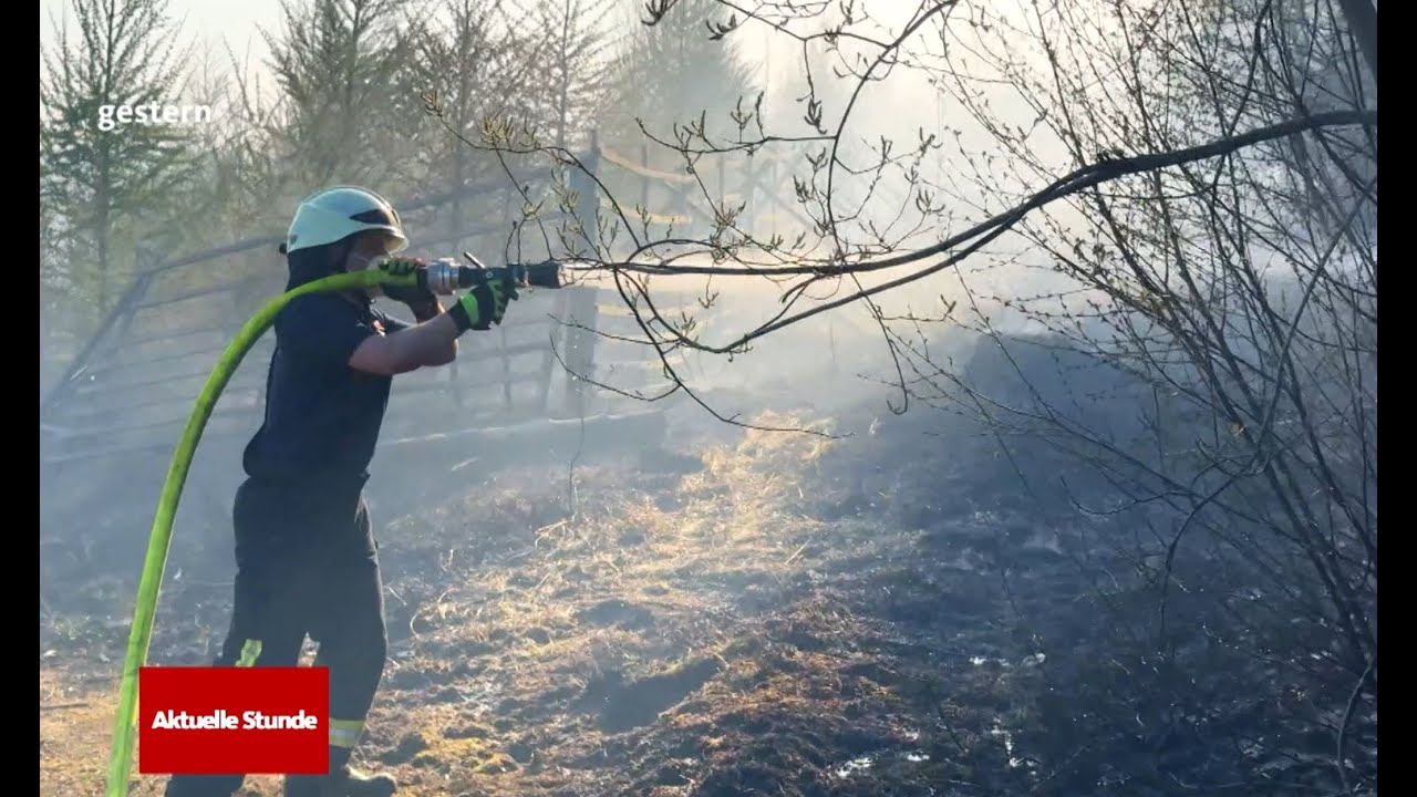 Waldbrand in Sundern