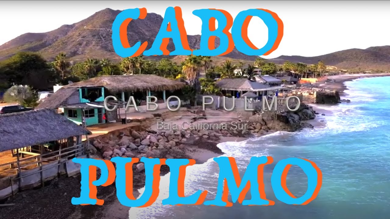 Cabo Pulmo - Scuba Diving - Mexico