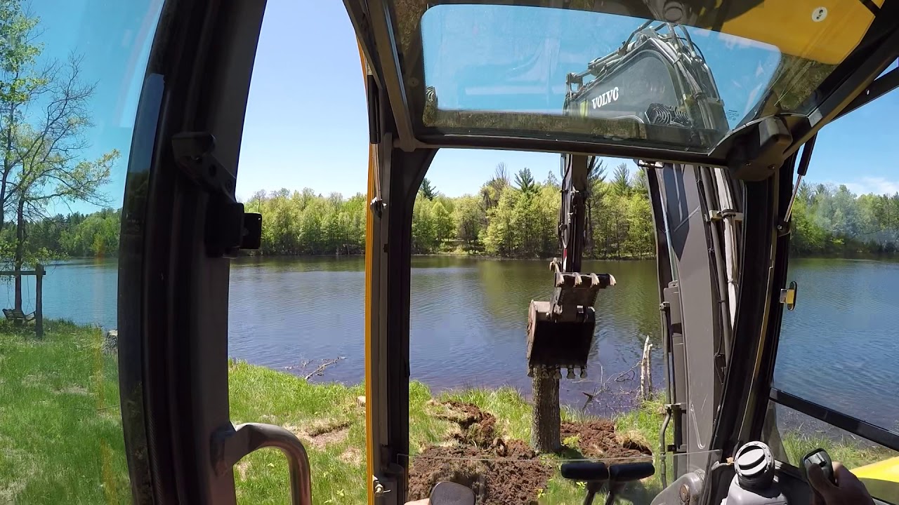 Volvo Ecr88 Oak Stump
