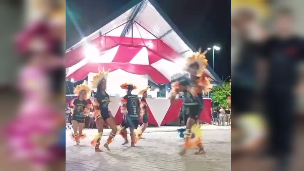 Boi Encanto da Natureza em Carutapera 16/01/2026