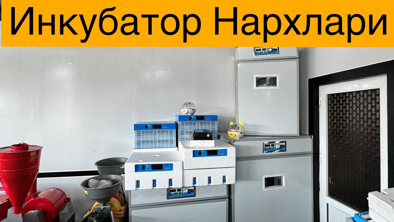 Inkubator narxlari 2024 | Инкубатор нархлари 2024