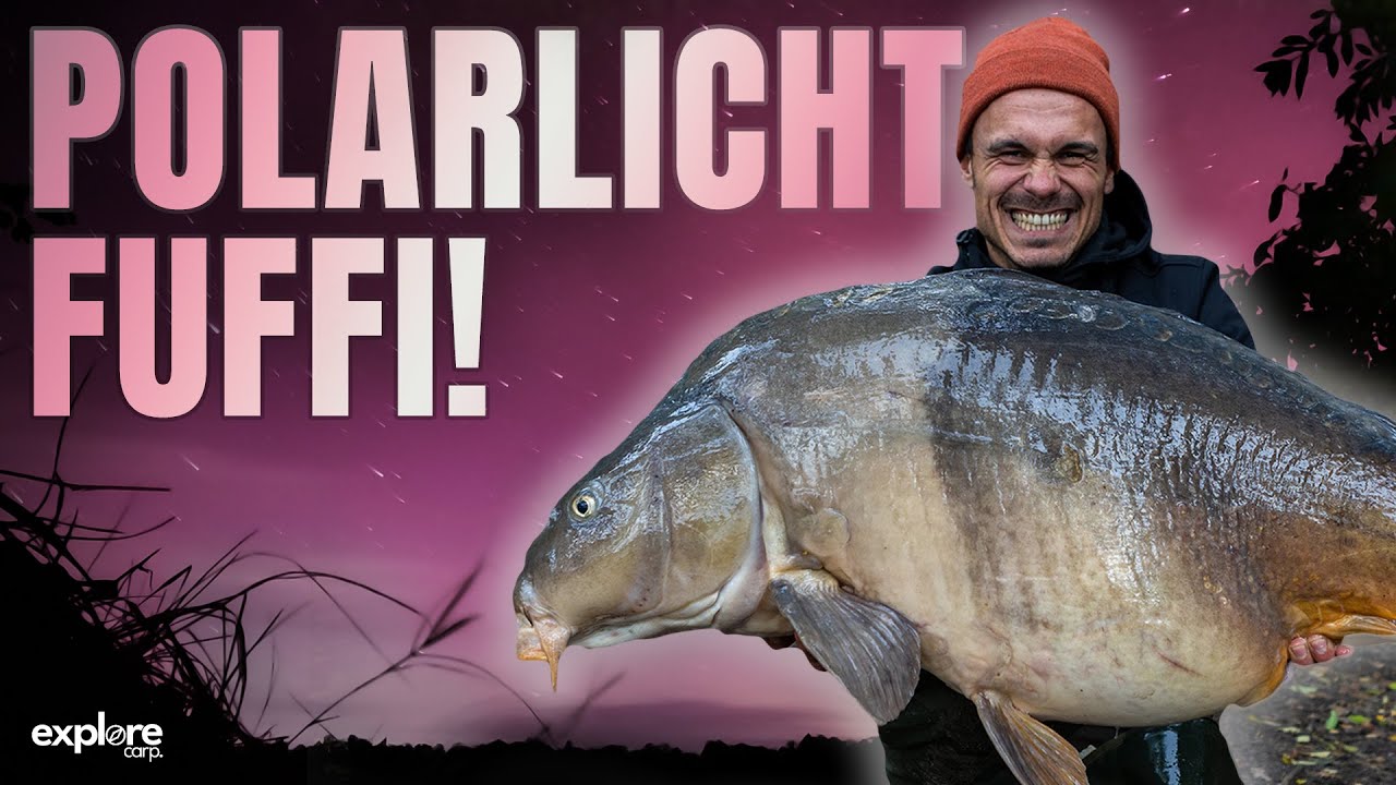 ICH FANGE DEN DICKEN AUF ANSAGE! 🤯 Karpfenangeln | Fox International | Black Label Baits Gewinnspiel