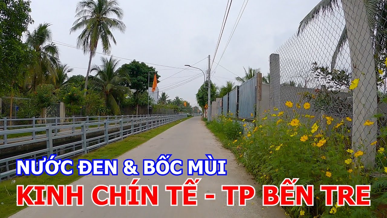 ĐÌNH TÂN THÀNH - KINH CHÍN TẾ - CHỢ BẾN TRE 06-01-2026