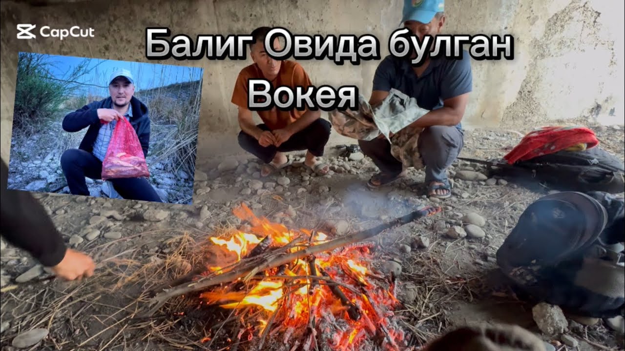 Балиг Овида Бунакаси Камдан кам булади 10 июля 2025 г.