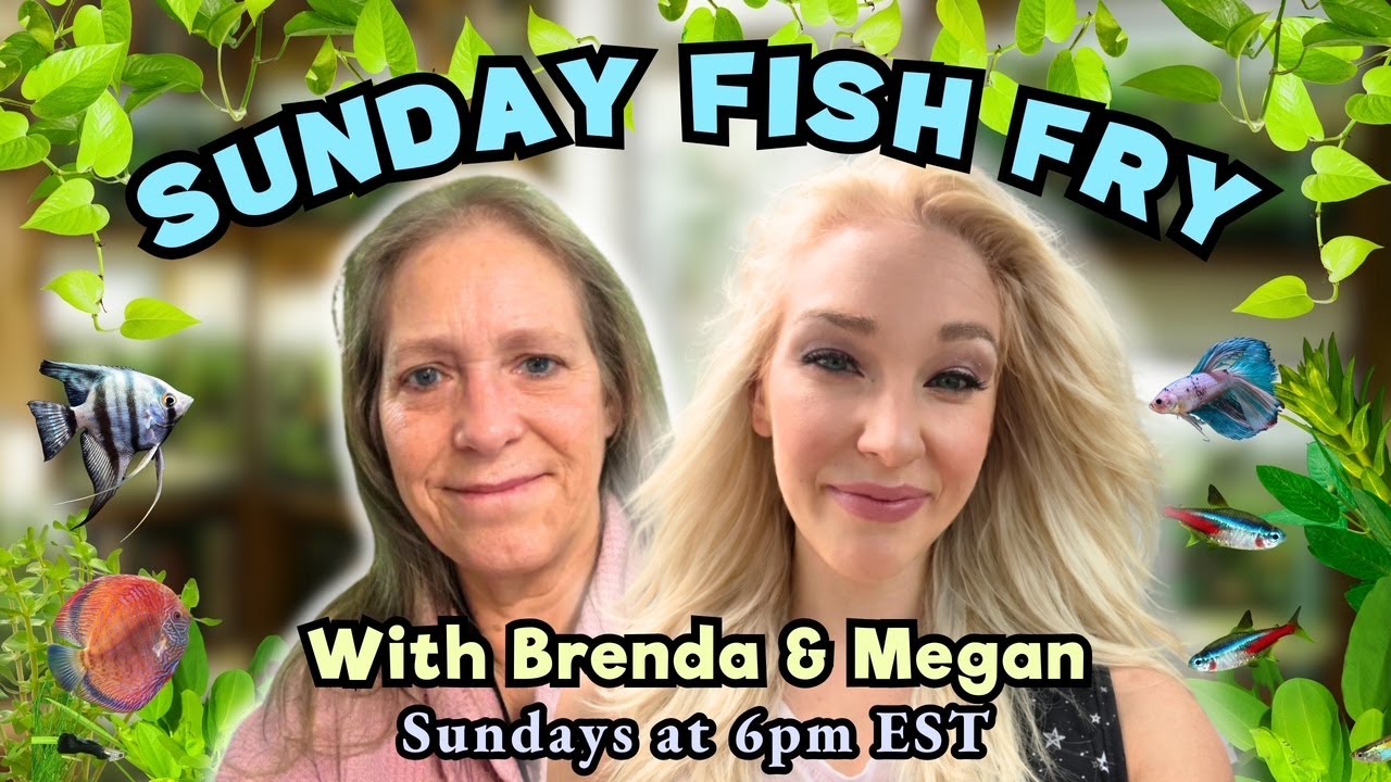 Sunday Fish Fry with Brenda and Megan
