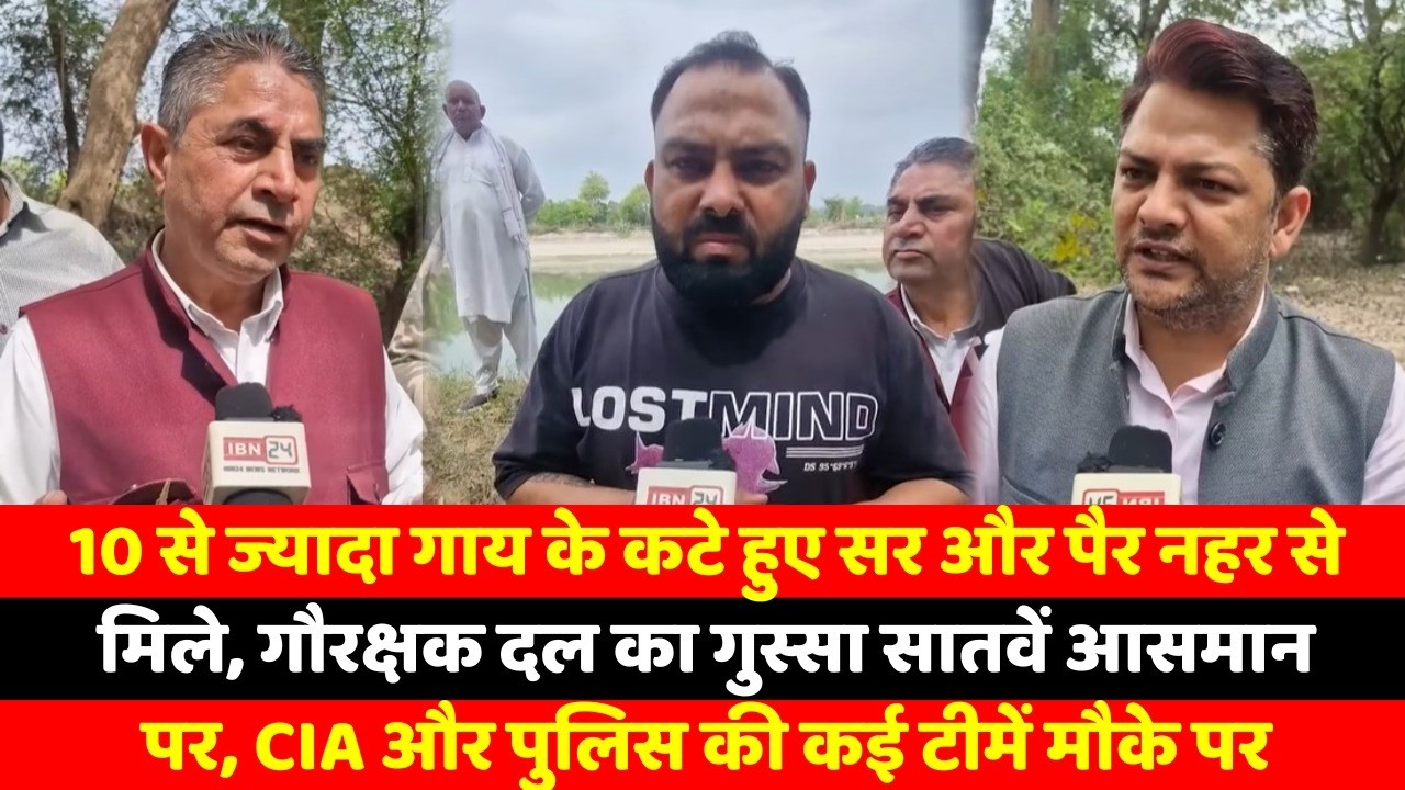 गौरक्षा दल ने नहर से निकाले 10 से 12 गौमाता के सर और पैर के अवशेष, मौके पर पहुँची CIA