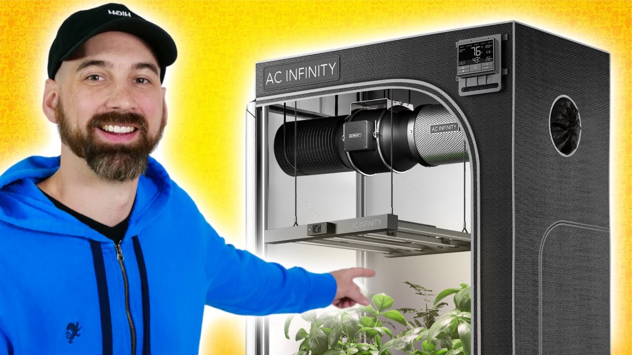 Setting Up Grow Lights: Step-By-Step Guide