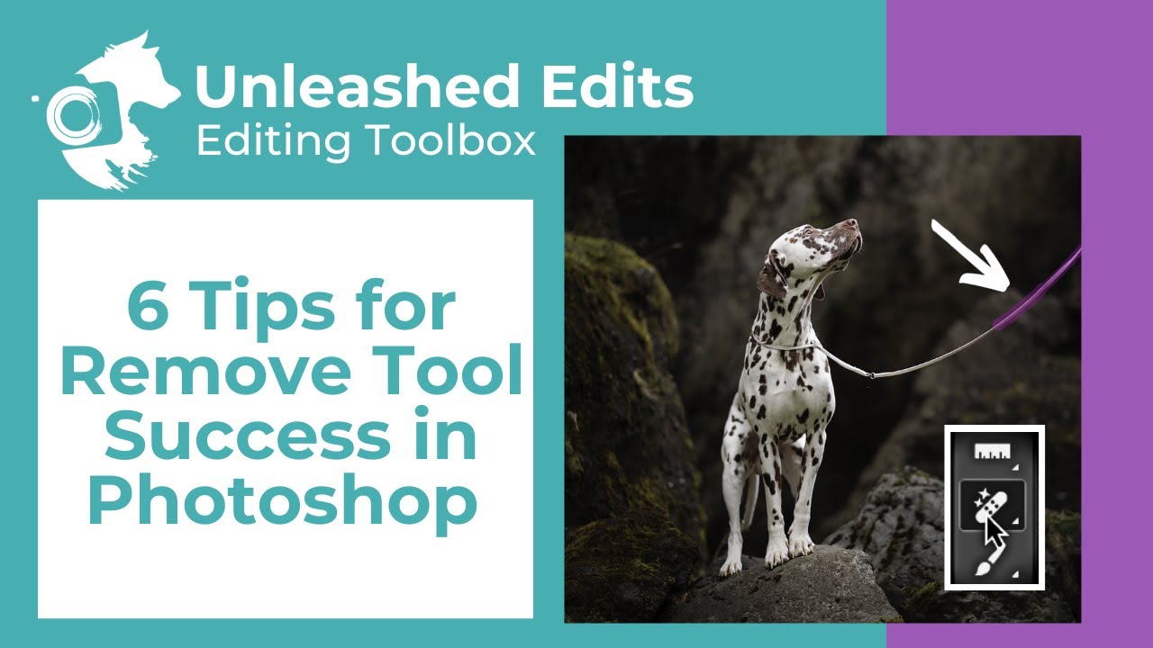 Pet Photography Editing | 6 Tips for Remove Tool Success in Photoshop