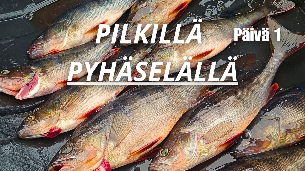 AHVENPILKILLÄ ITÄ-SUOMESSA 1/3