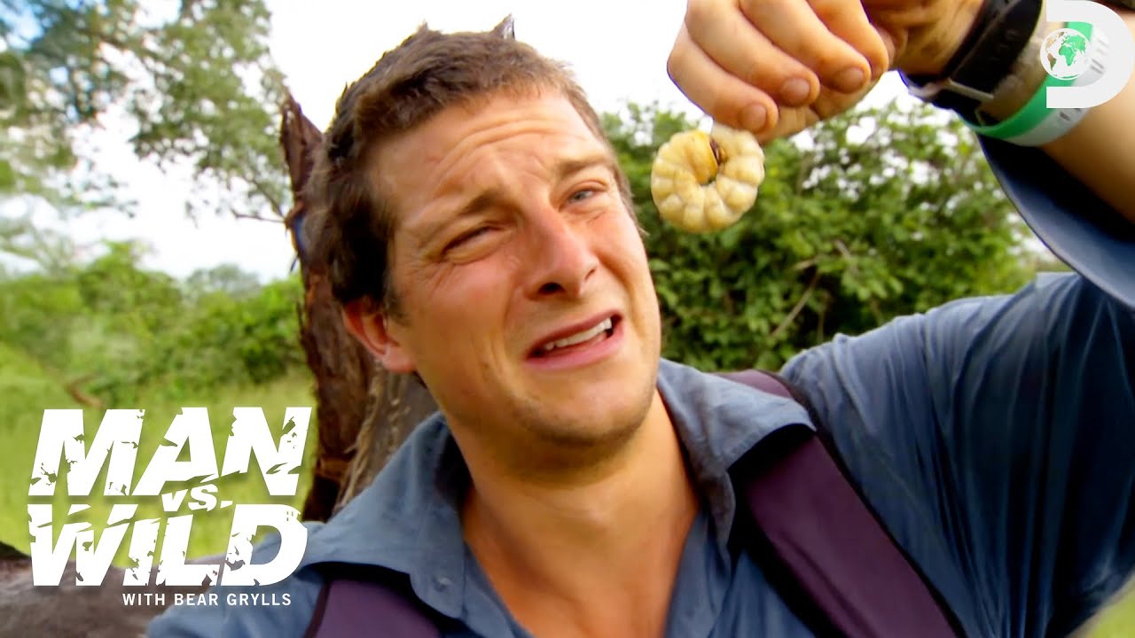 Bear Grylls&rsquo; Wildest Things Eaten | Man vs. Wild | Discovery
