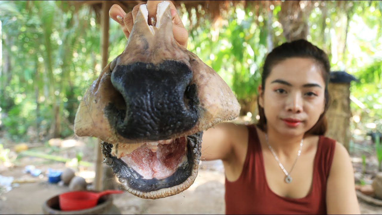 Yummy cooking cow nose recipe - Cooking skill
