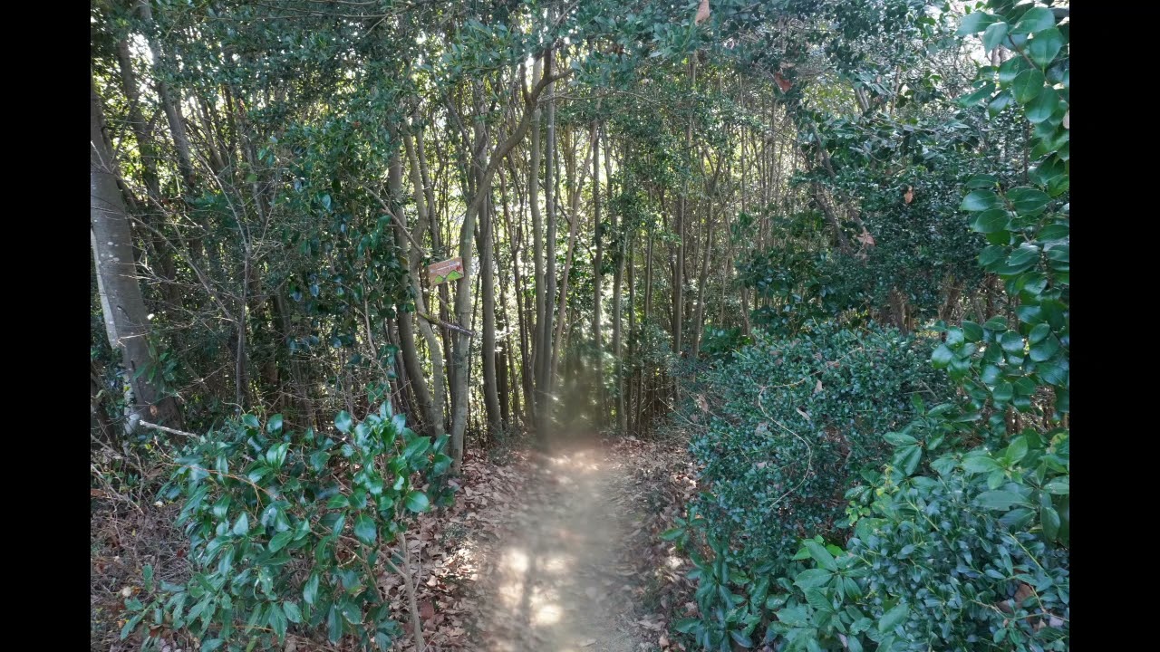 2026 08 八王子城山を歩く