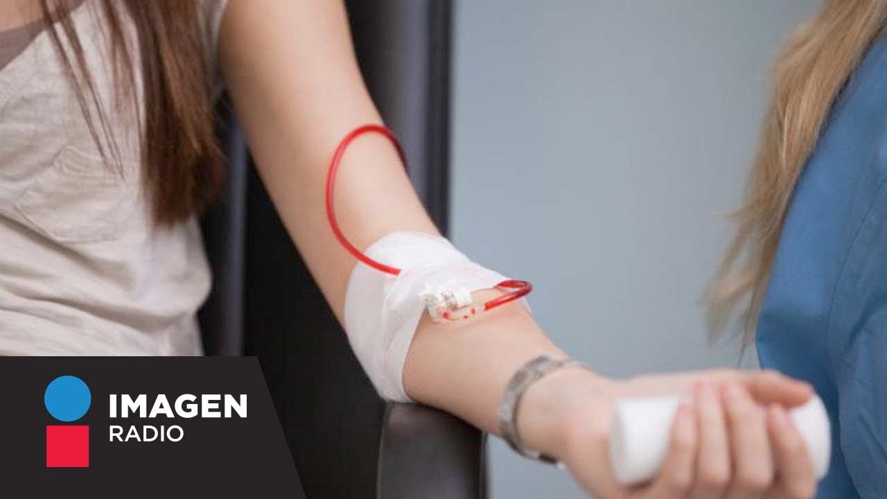 ¿Quiénes pueden donar sangre? / Bien y Saludable