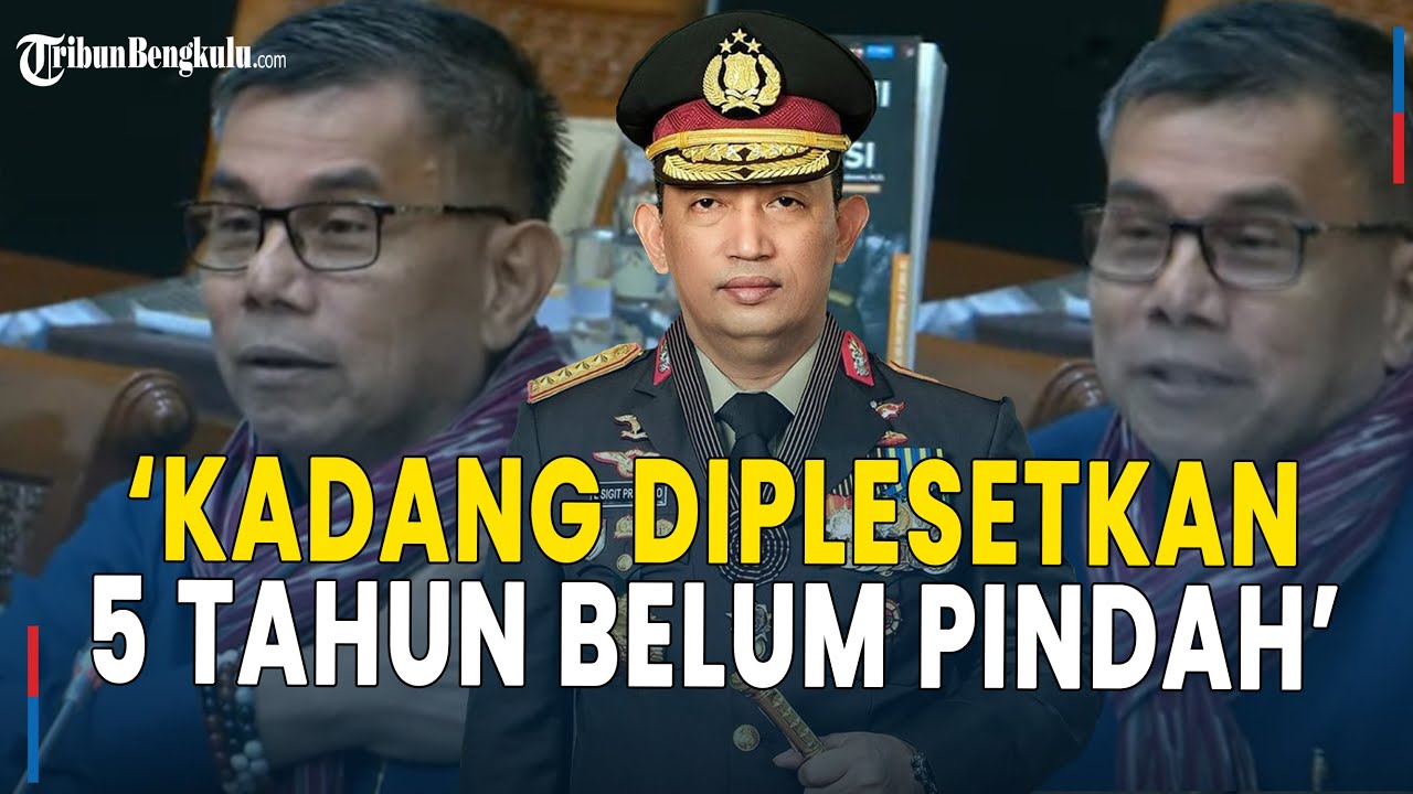 Hinca Panjaitan Pamer Buku 'Menguji Polri Presisi': Salam Kadang Diplesetkan, 5 Tahun Belum Pindah