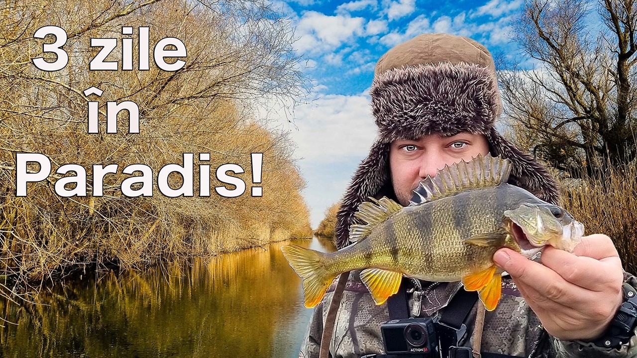 3 Zile de Pescuit în Delta Dunării - SUTE de Pești!