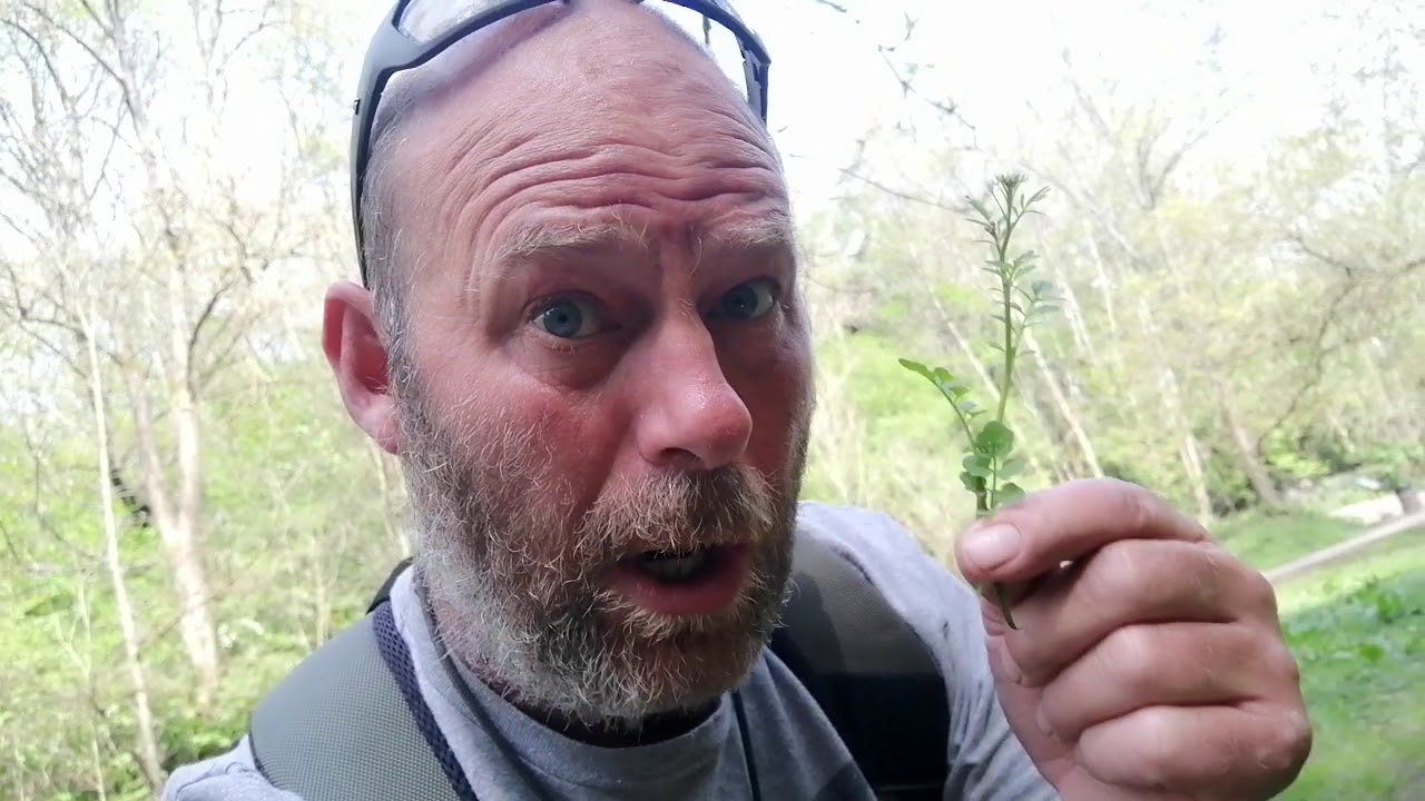 A killer plant hiding amongst the edibles