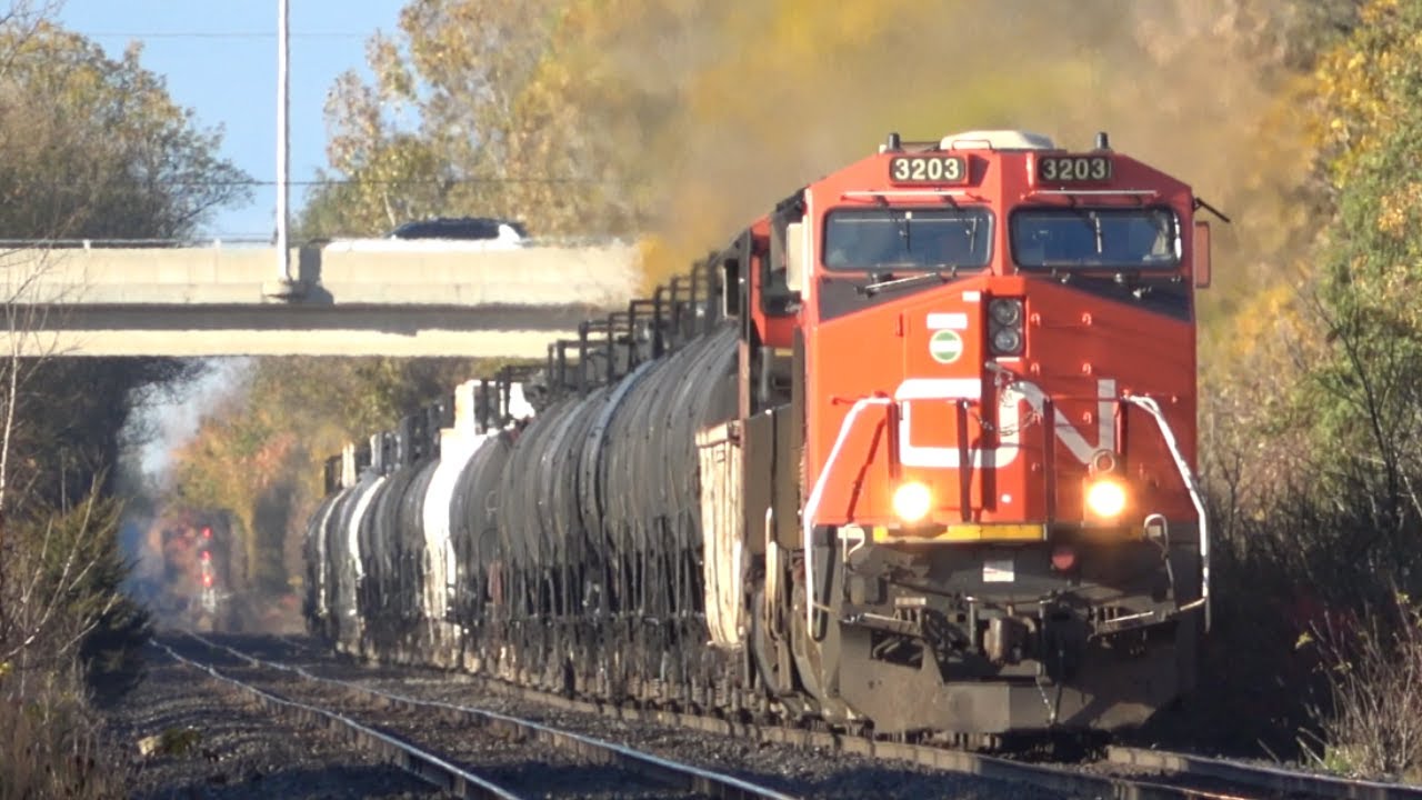 [4K] VIA & CN Trains in the Fall! | Railfanning the Dundas Sub