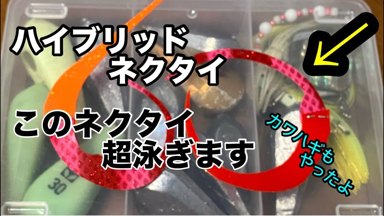 秋の瀬戸内　激闘！ハイブリッドタイラバ＆カワハギ