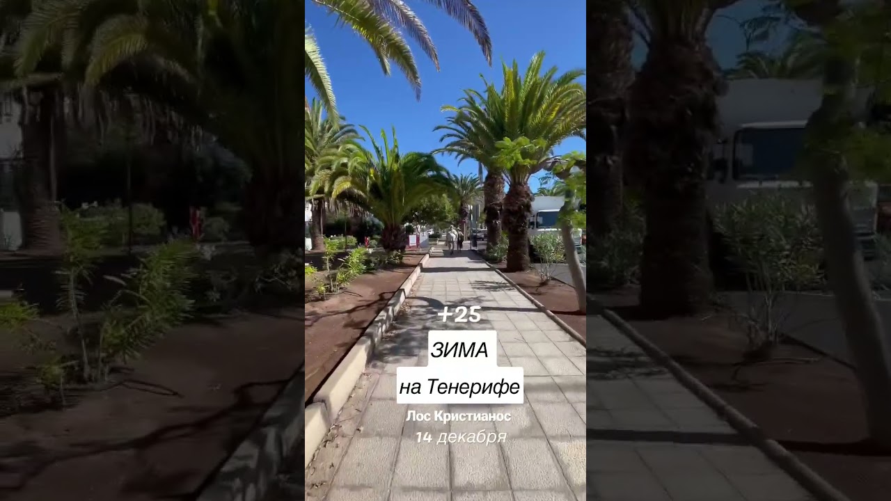 ЗИМА на Тенерифе 14 декабря в Лос Кристианос +25