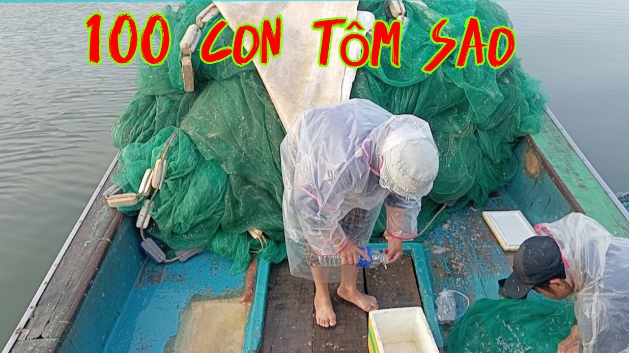 100 con tôm hùm