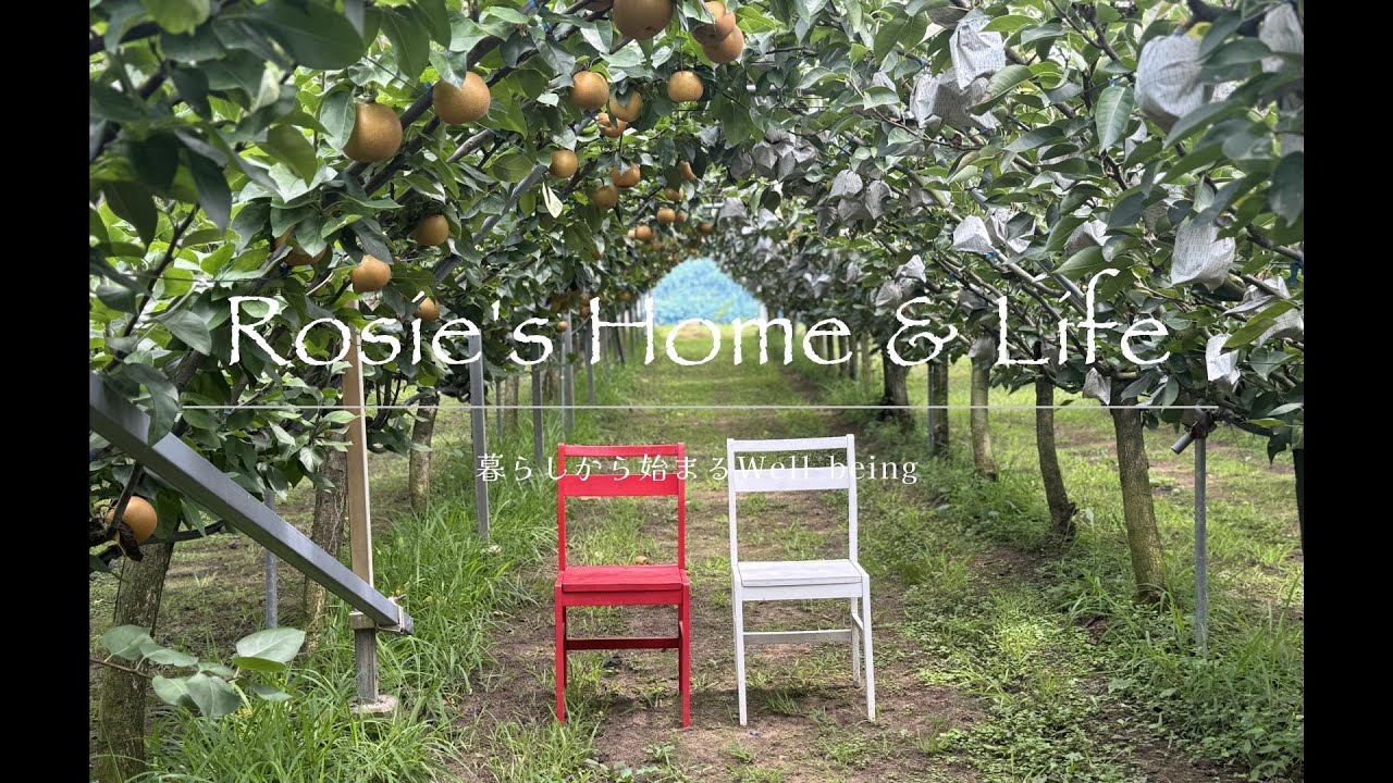 【50代 お出かけVlog】🍐梨狩りとカフェを楽しむ｜伊万里の梨農園「大川三世代」｜次女のインターン先へお邪魔しました｜