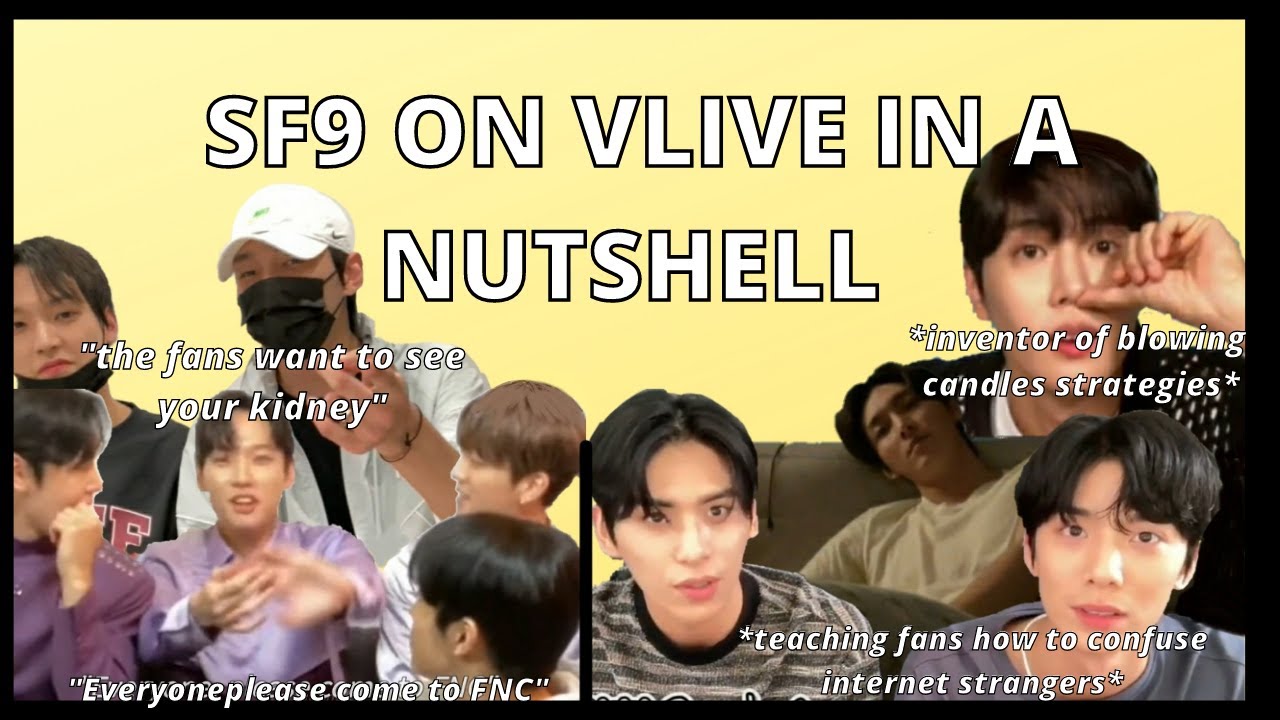 sf9 vlives are a whole other dimension