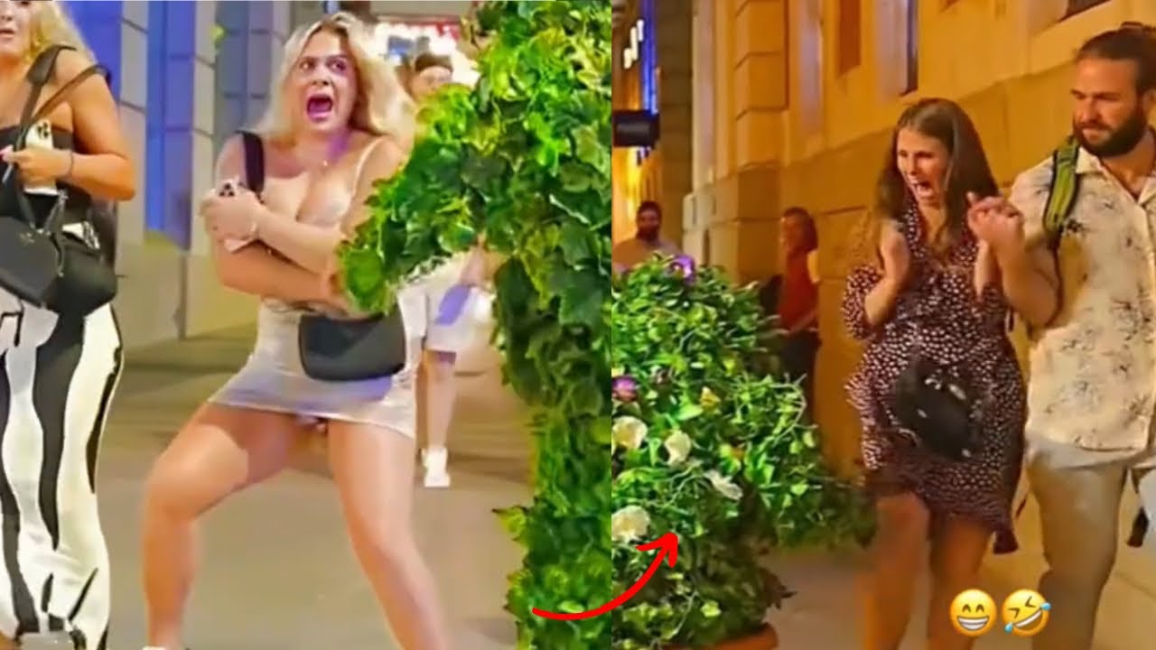 BEST FUNNY BUSH MAN PRANKS THAT WILL MAKE YOU LAUGH 😂 || TRY NOT TO LAUGH CHALLENGE. 