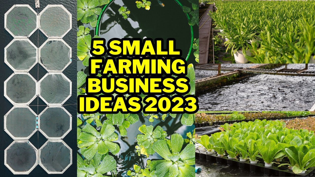 🚜🌻5 Small Farming Business Ideas In 2023 || Profitable Farming Business Ideas