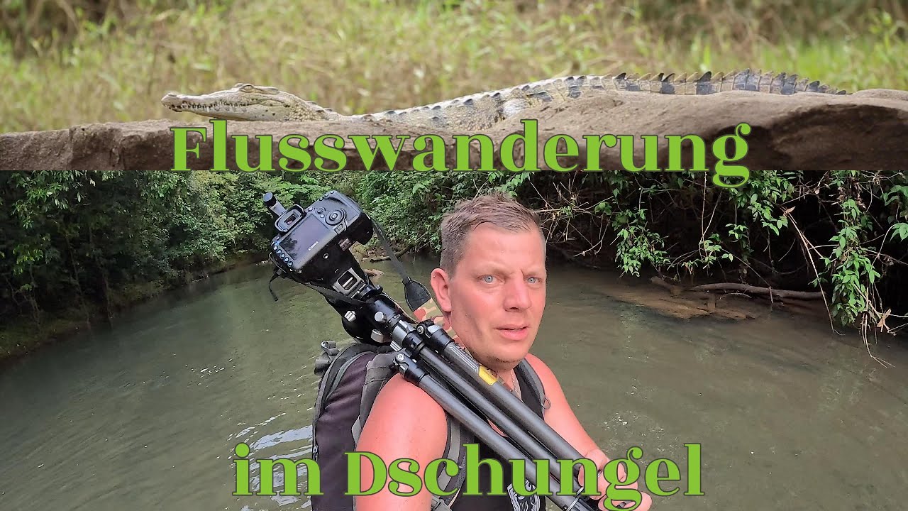 Solo Dschungel-Flusswanderung in Costa Rica , Auf der suche nach Wildtieren im Jaguar Gebiet!