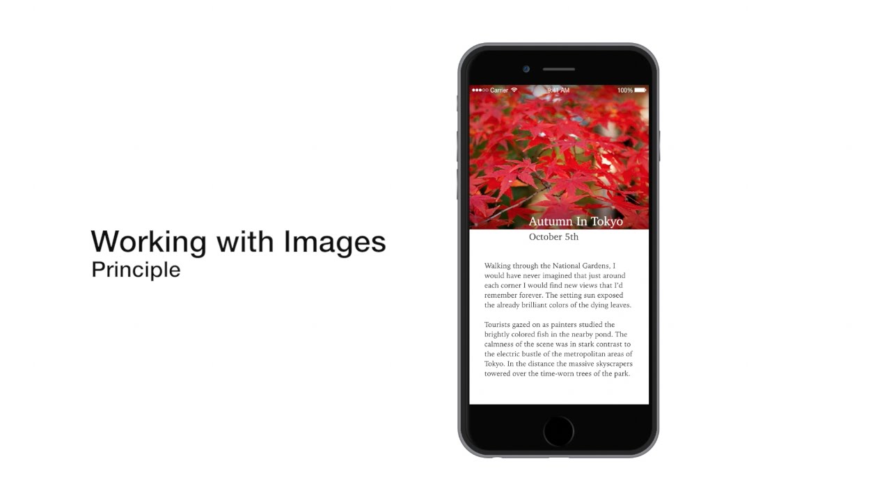 Principle: Working with Images