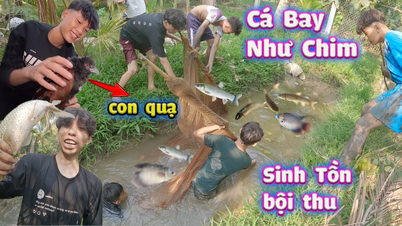 Sinh Tồn Bội Thu Cá - Bắt Được Chim Lạ #trangandvinh