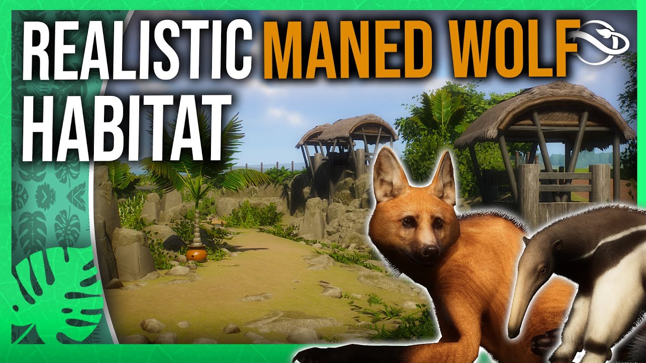 🐺 Realistic Maned Wolf & Giant Anteater Habitat! - Foxborough Zoo
