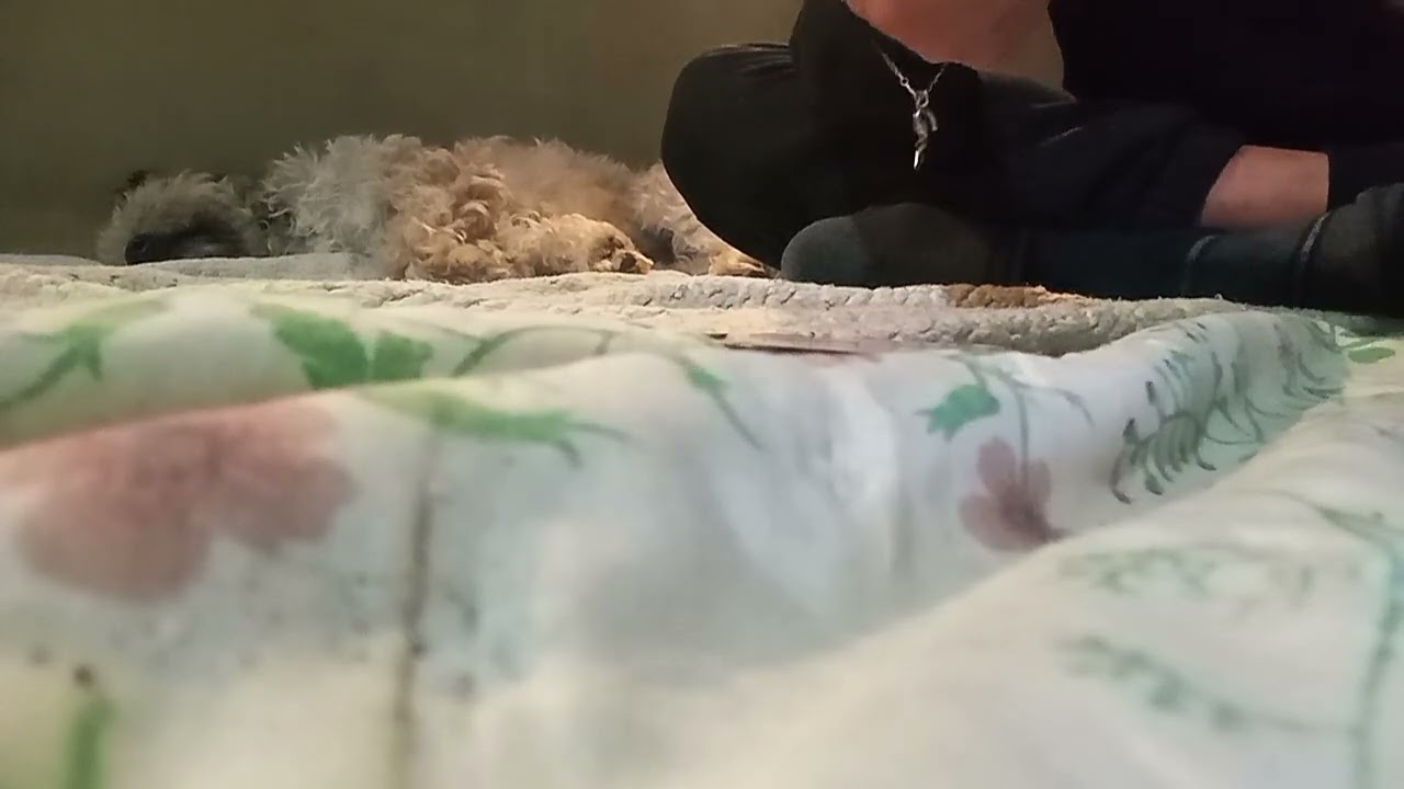 Dagens budskap, tidlöst, gäller när det än hittar dig. 💕