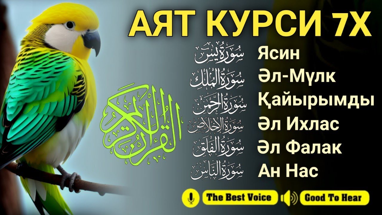 Ризық туралы алғашқы аяттар | Ясин, Аятул Курси, Әл-Мүлк, Ар Рахман, Әл Ихлас, Әннас ~Тарек Мухаммад